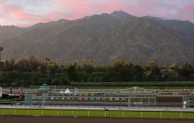 Santa Anita Horseracing Track