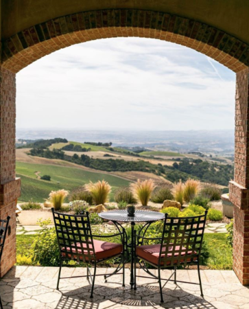 winery csq daou